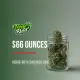 $66 Ounces