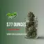 $77 Ounces