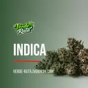 Indica