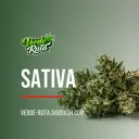 Sativa
